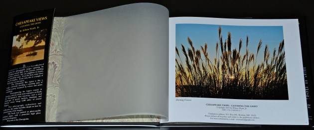 Inside cover, "Morning Grasses," from Chesapeake Views-Catching the Light