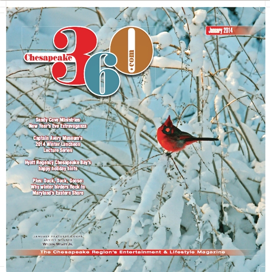 "Winter Cardinal," the cover image on Chesapeake 360, for January 2014