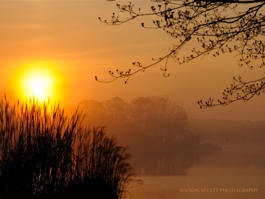 First Sunrise in Spring, by Wilson Wyatt, from "Chesapeake Views - Catching the Light"