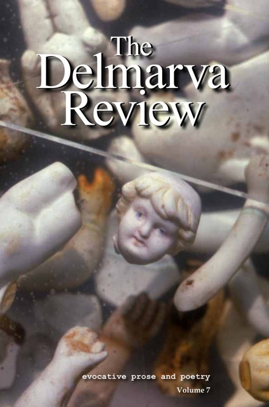 The Delmarva Review, vol. 7, cover