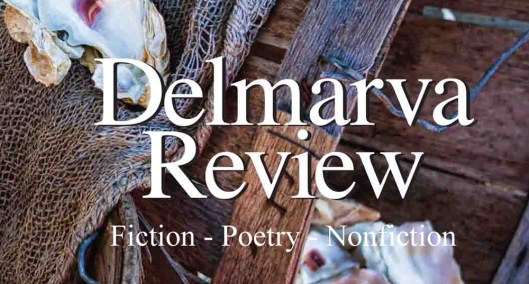 DR-V10-Cover-Web-sig